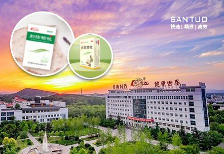 《一起手拉手，戰(zhàn)勝疫情，共享健康》之一